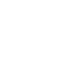 MINTCLIP